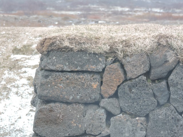DSCN1677