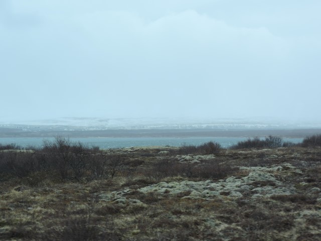 DSCN1686