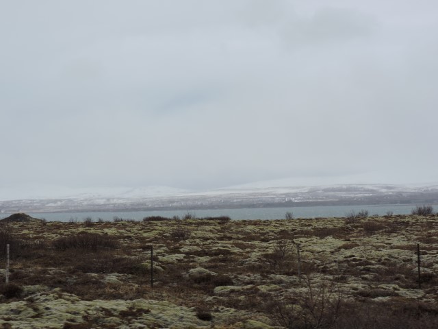 DSCN1688