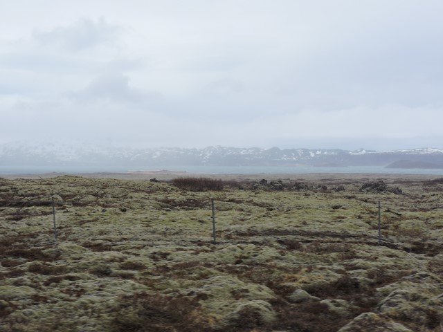 DSCN1692