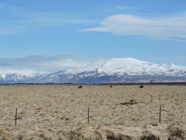 DSCN1723