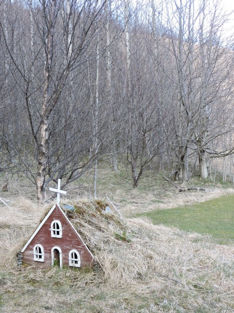 DSCN1777