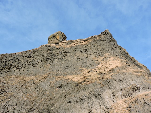 DSCN1838