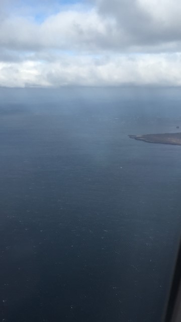 IMG 7869