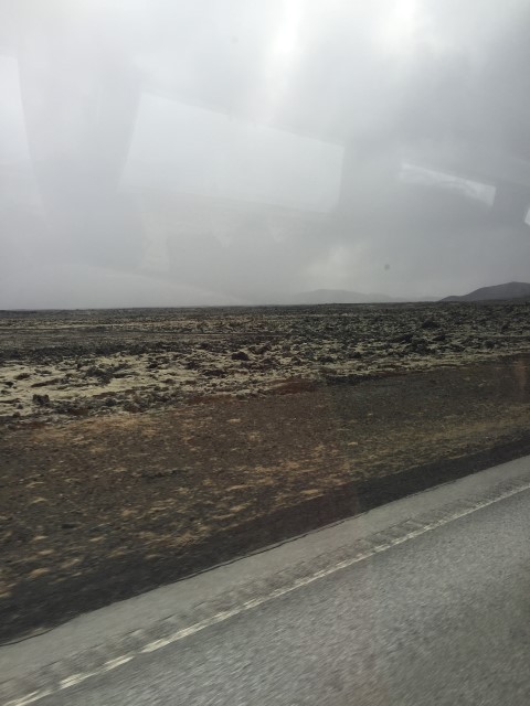 IMG 7890