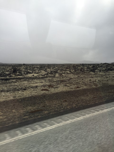 IMG 7891