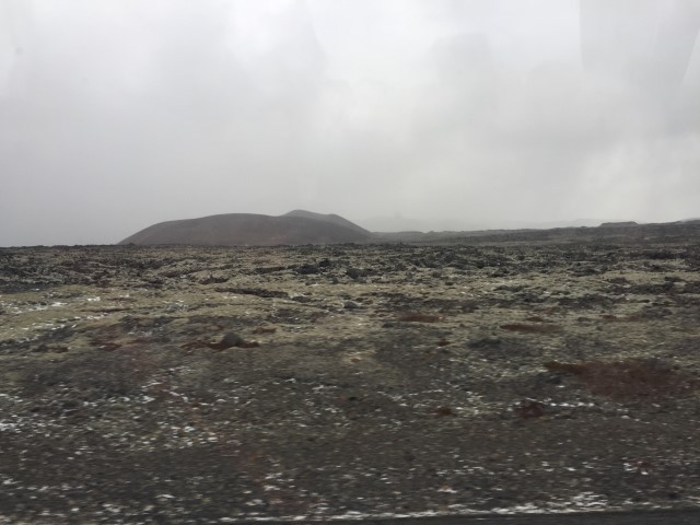 IMG 7894