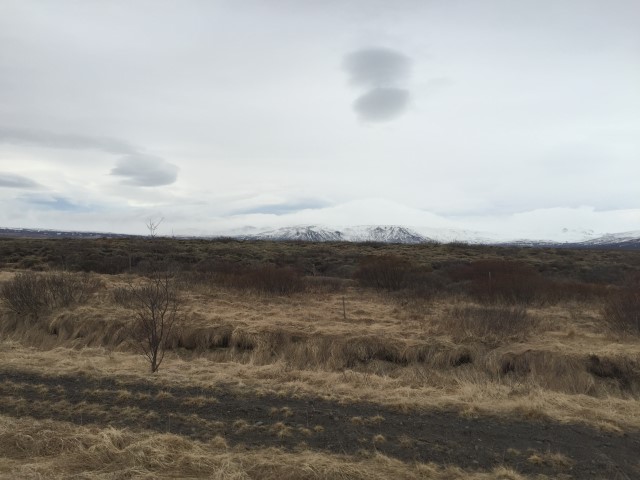 IMG 7953