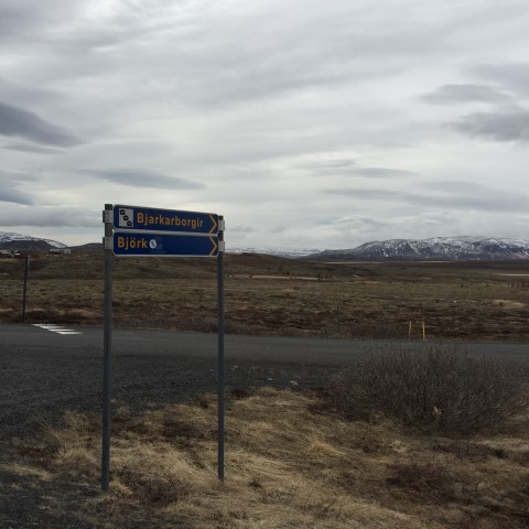 IMG 7974