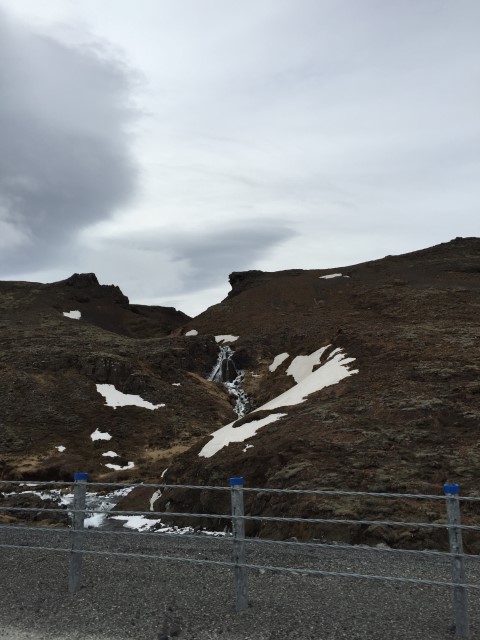IMG 7986