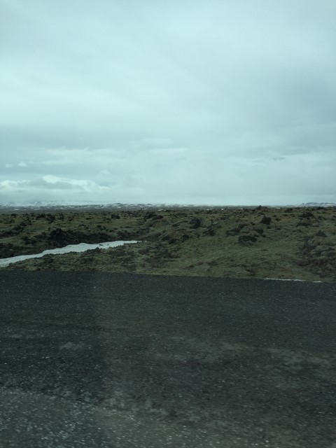 IMG 7991