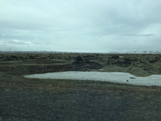 IMG 7992