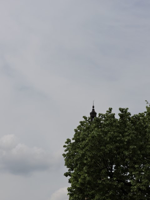 DSCN1994