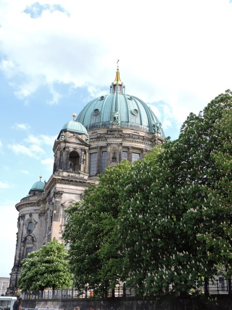 DSCN2107