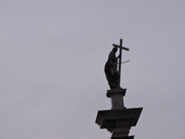 DSCN2230