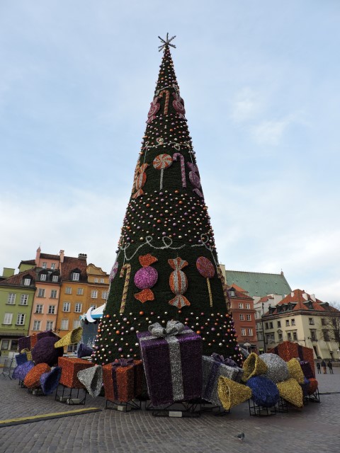 DSCN2336