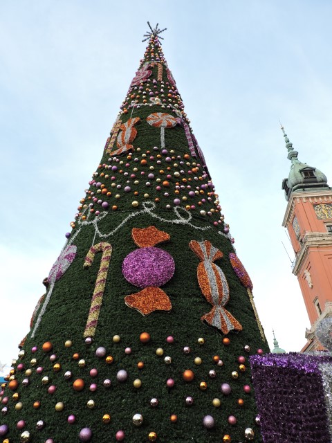DSCN2338