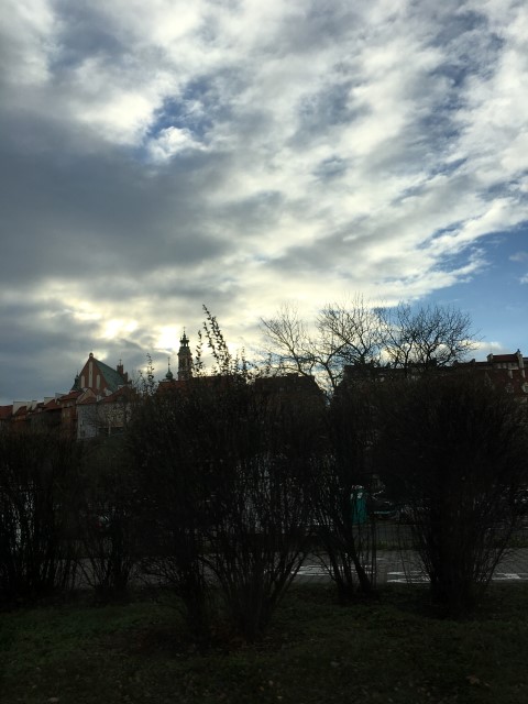 IMG 9134