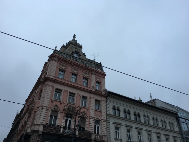 IMG 9518