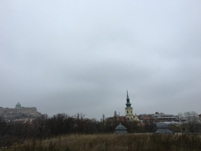 IMG 9547