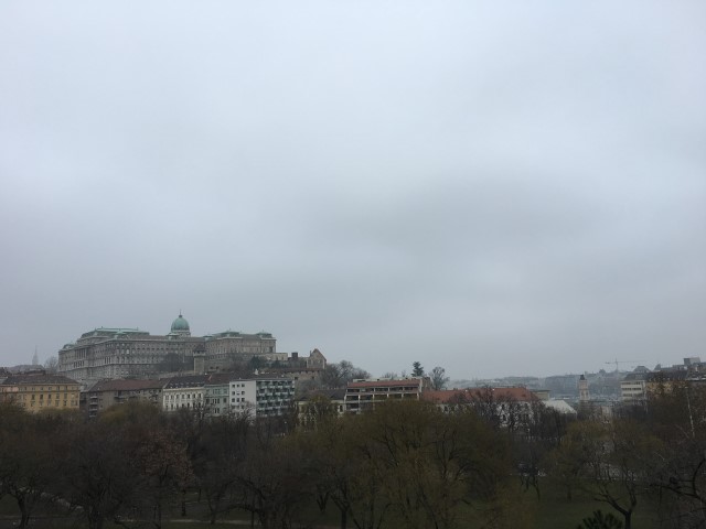 IMG 9548