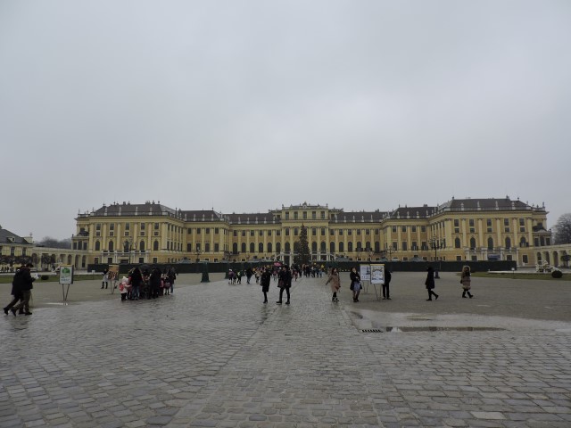 DSCN0597