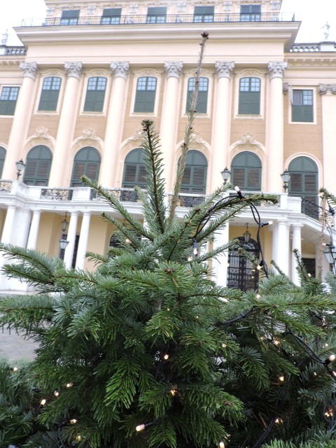 DSCN0605