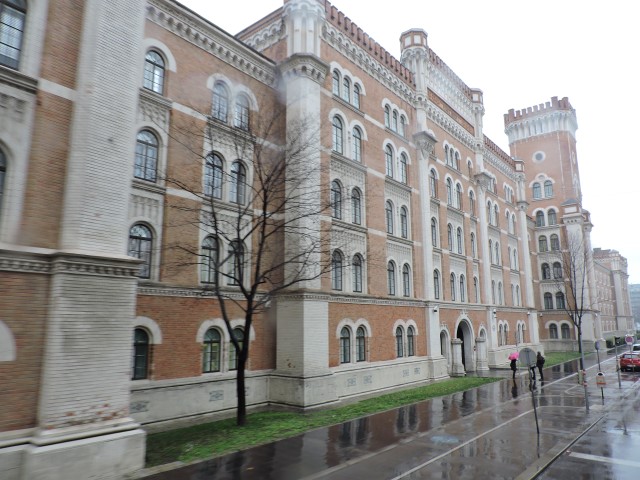 DSCN0669