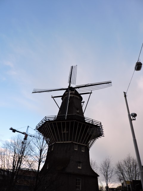 DSCN0834