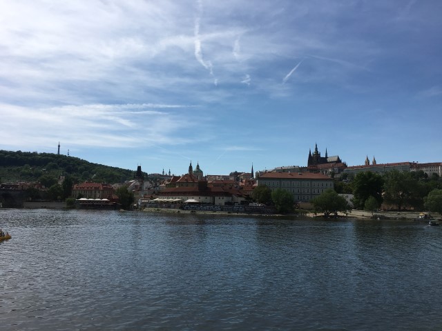 IMG 0450
