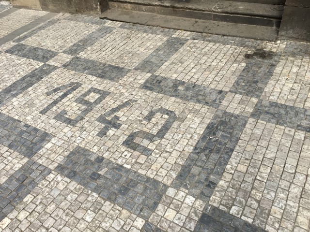 IMG 0516