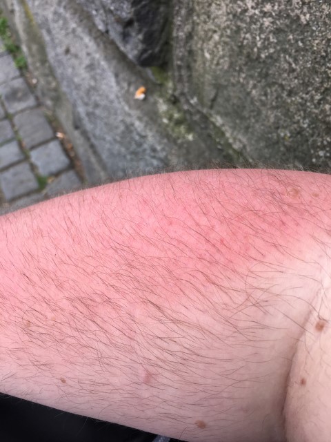 IMG 0544