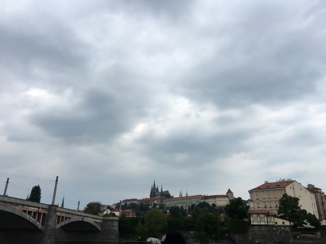 IMG 0559