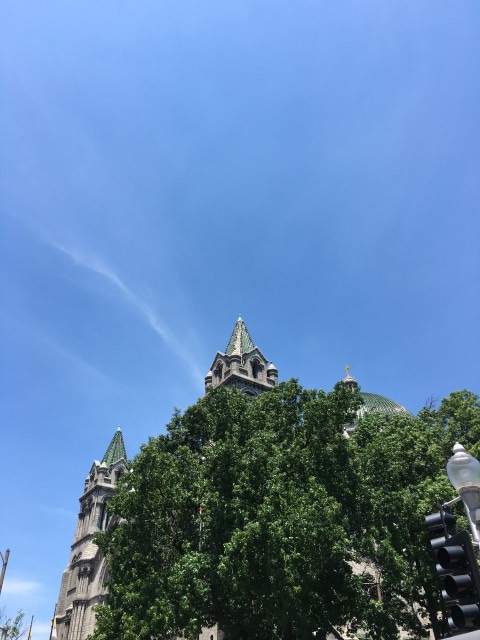 IMG 0835