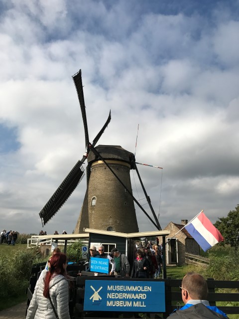 IMG 0111