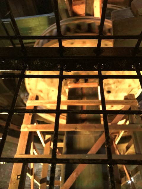IMG 0123