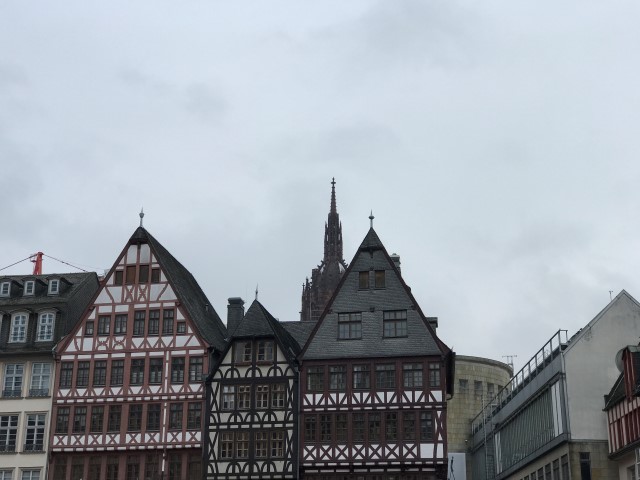 IMG 1230