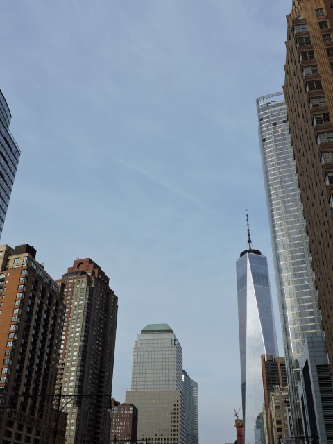 DSCN1994