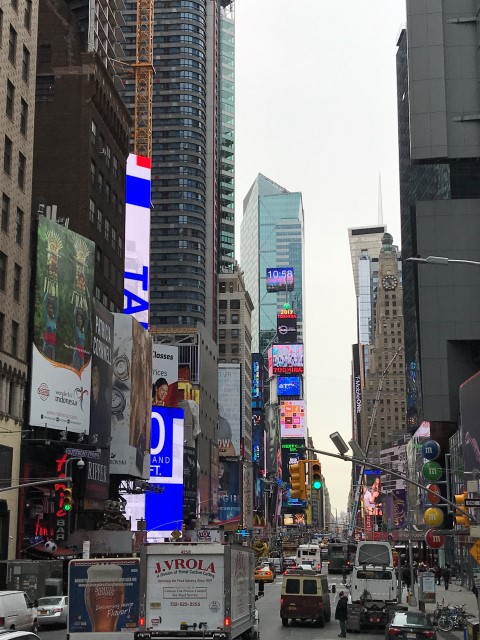 IMG 1446