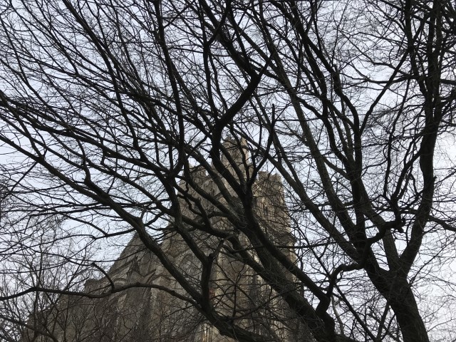 IMG 1507
