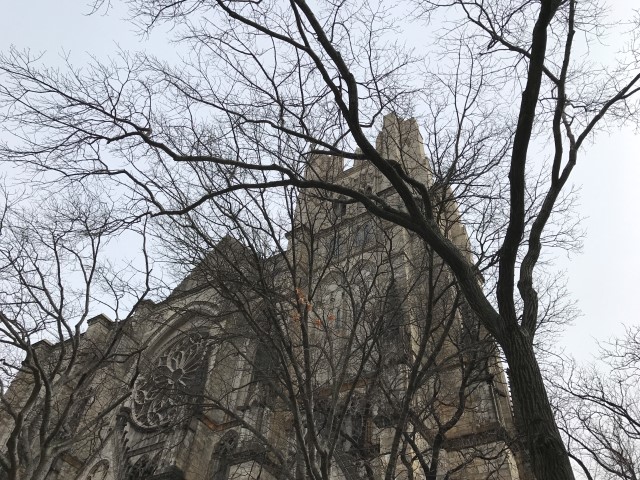 IMG 1508