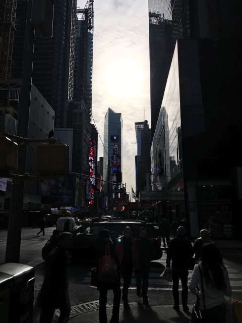 IMG 1522