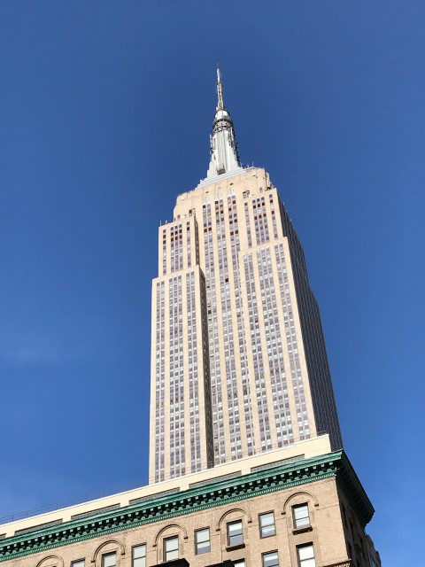 IMG 1544