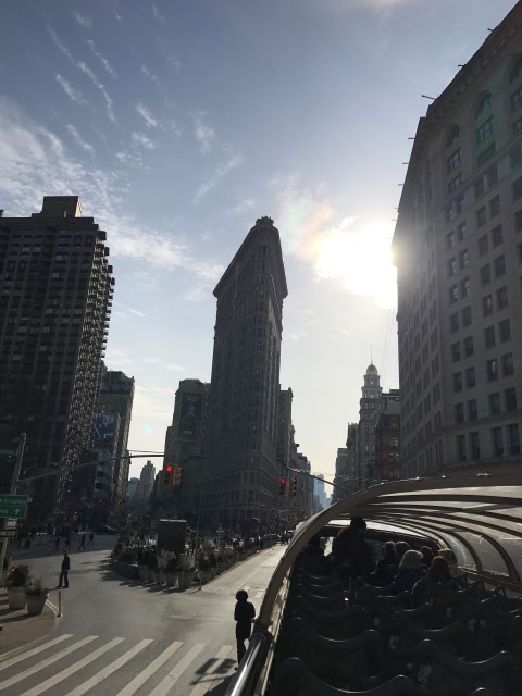 IMG 1546