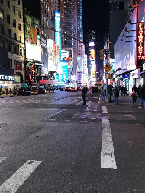 IMG 1585