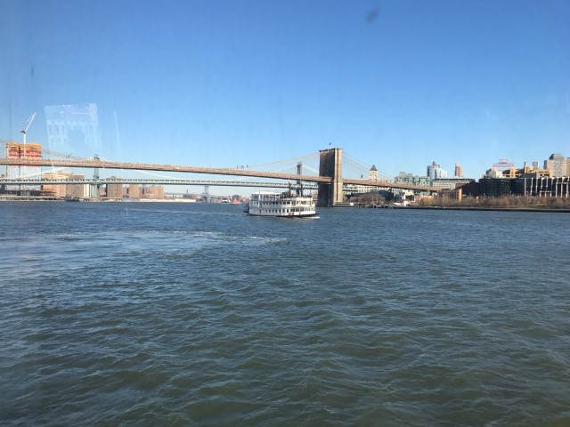 IMG 1676