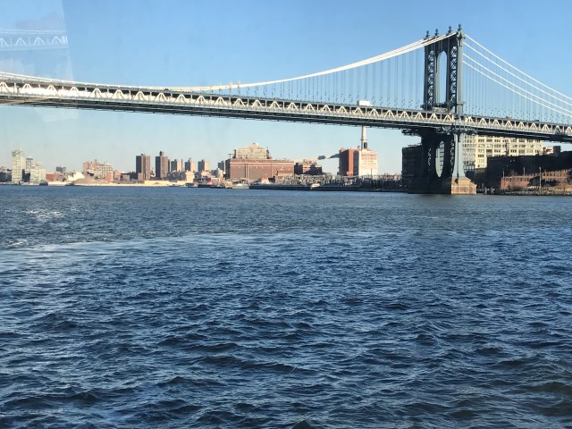 IMG 1681