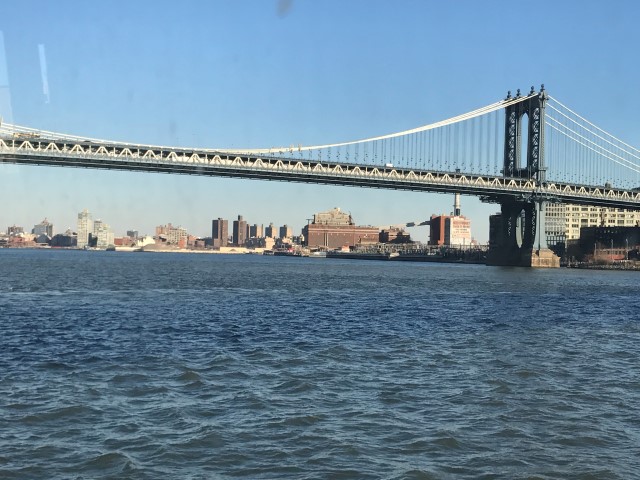 IMG 1682
