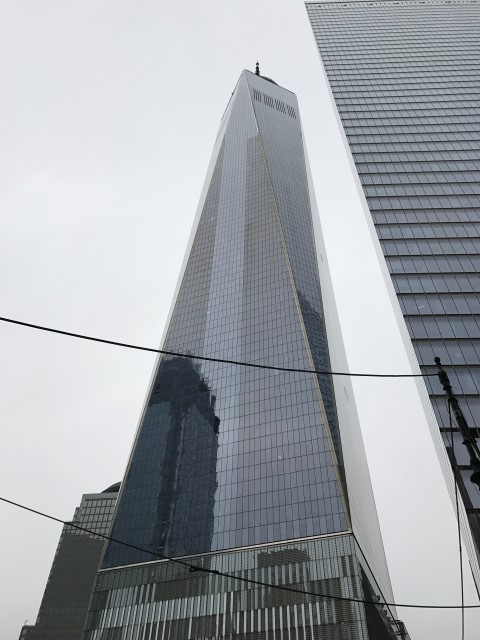 IMG 1698