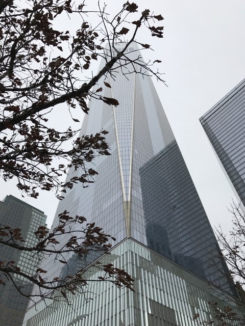IMG 1716
